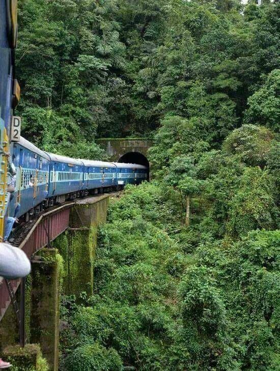 Train cave Araku Valley 